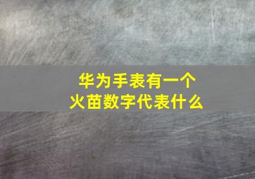 华为手表有一个火苗数字代表什么