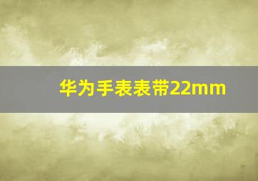 华为手表表带22mm