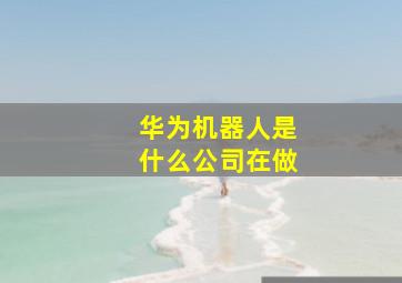 华为机器人是什么公司在做