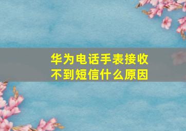 华为电话手表接收不到短信什么原因