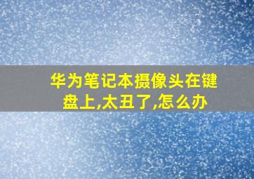 华为笔记本摄像头在键盘上,太丑了,怎么办