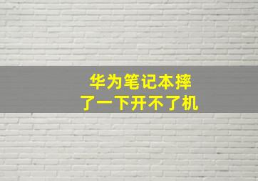 华为笔记本摔了一下开不了机