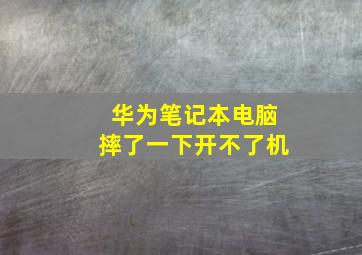 华为笔记本电脑摔了一下开不了机