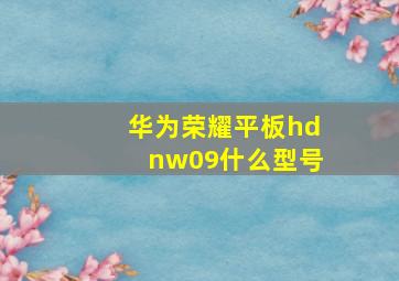 华为荣耀平板hdnw09什么型号