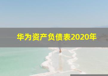 华为资产负债表2020年