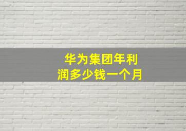 华为集团年利润多少钱一个月