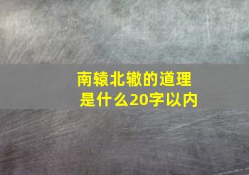 南辕北辙的道理是什么20字以内