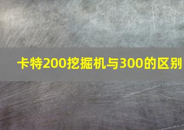 卡特200挖掘机与300的区别