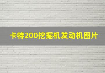 卡特200挖掘机发动机图片