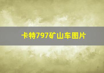 卡特797矿山车图片