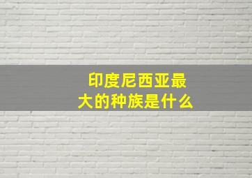 印度尼西亚最大的种族是什么