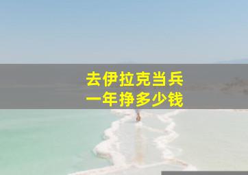 去伊拉克当兵一年挣多少钱