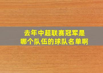 去年中超联赛冠军是哪个队伍的球队名单啊