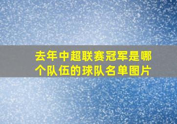 去年中超联赛冠军是哪个队伍的球队名单图片