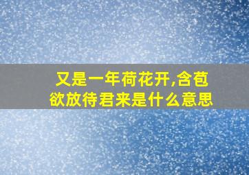 又是一年荷花开,含苞欲放待君来是什么意思