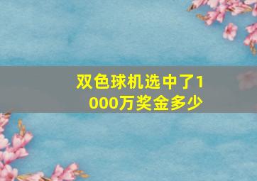 双色球机选中了1000万奖金多少