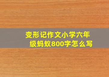 变形记作文小学六年级蚂蚁800字怎么写