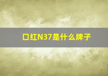 口红N37是什么牌子