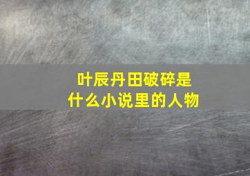 叶辰丹田破碎是什么小说里的人物