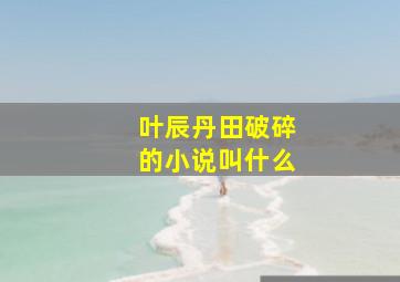 叶辰丹田破碎的小说叫什么