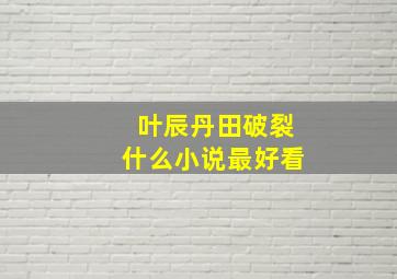 叶辰丹田破裂什么小说最好看