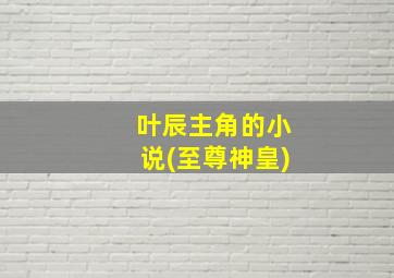 叶辰主角的小说(至尊神皇)