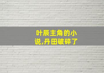 叶辰主角的小说,丹田破碎了