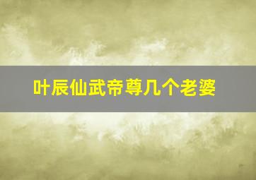 叶辰仙武帝尊几个老婆