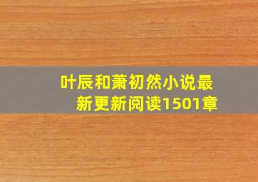 叶辰和萧初然小说最新更新阅读1501章