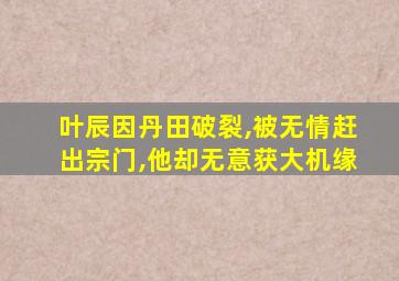 叶辰因丹田破裂,被无情赶出宗门,他却无意获大机缘