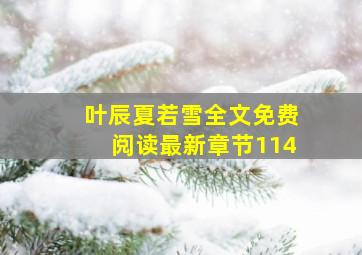 叶辰夏若雪全文免费阅读最新章节114