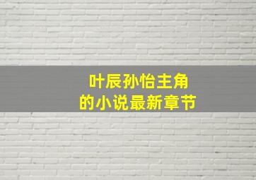 叶辰孙怡主角的小说最新章节