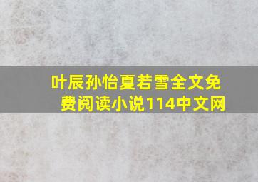 叶辰孙怡夏若雪全文免费阅读小说114中文网