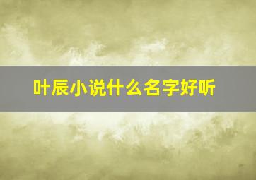 叶辰小说什么名字好听