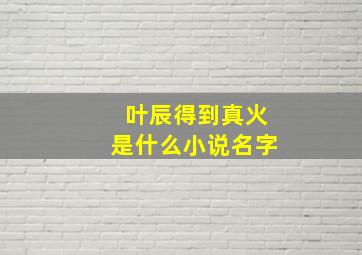 叶辰得到真火是什么小说名字