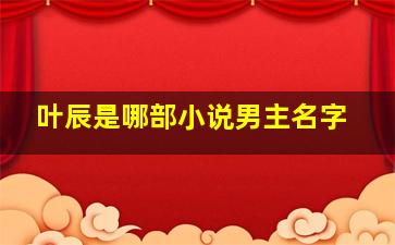 叶辰是哪部小说男主名字