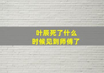 叶辰死了什么时候见到师傅了