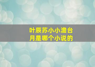 叶辰苏小小澹台月是哪个小说的