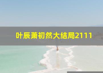 叶辰萧初然大结局2111