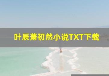 叶辰萧初然小说TXT下载