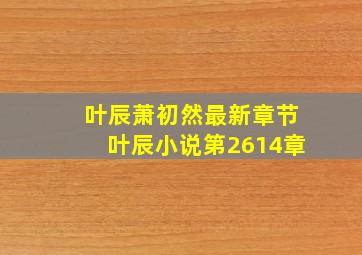 叶辰萧初然最新章节叶辰小说第2614章