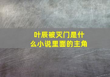 叶辰被灭门是什么小说里面的主角