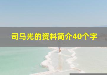 司马光的资料简介40个字