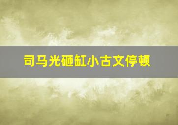 司马光砸缸小古文停顿