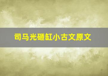 司马光砸缸小古文原文