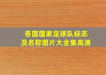 各国国家足球队标志及名称图片大全集高清