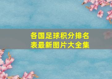 各国足球积分排名表最新图片大全集