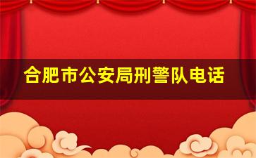 合肥市公安局刑警队电话