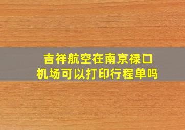 吉祥航空在南京禄口机场可以打印行程单吗