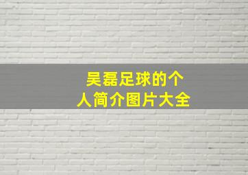 吴磊足球的个人简介图片大全